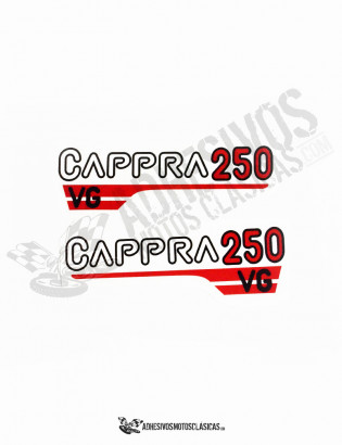 Adhesivos MONTESA Cappra 250 VG